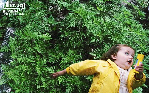 Контактный дерматит