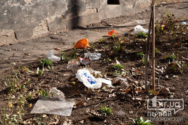 «Баков стало меньше, мусор никто не убирает», - криворожанка пожаловалась на стихийную свалку