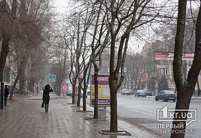 Фото к новости Главное фото новости