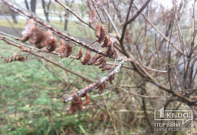 Фото к новости Главное фото новости