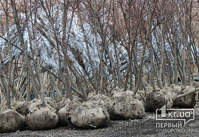 Фото к новости Главное фото новости