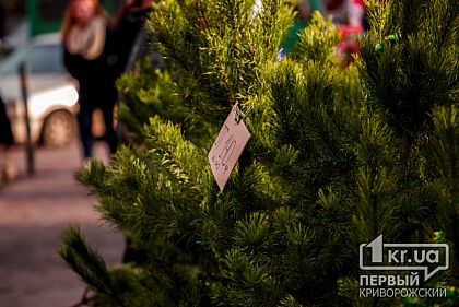 В Кривом Роге активно продают Christmas trees