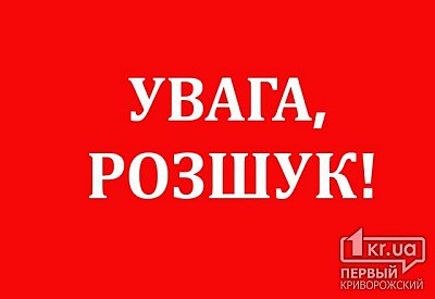 До пошуку зниклої в Кривому Розі дівчинки долучаються небайдужі городяни