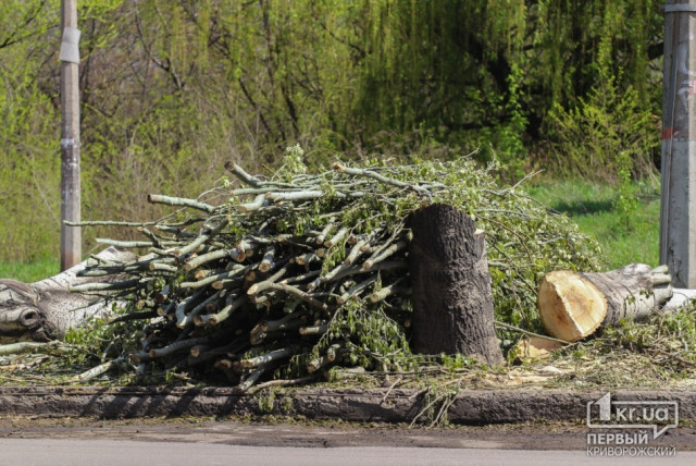 КАМАЗами свозят обрезанные ветки деревьев во двор криворожанам, - свидетели событий