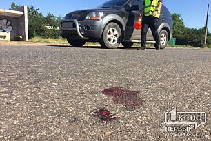 В Кривом Роге водитель иномарки сбил пенсионера. Пострадавший в реанимации