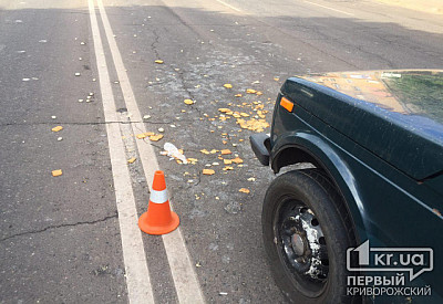 Фото к новости Главное фото новости