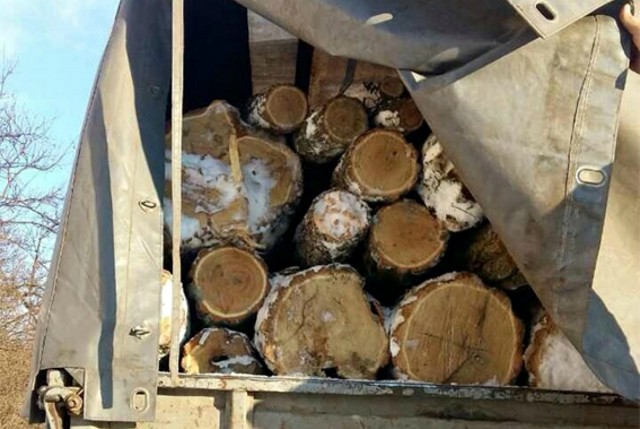 Мешканця Кривого Рогу затримали за незаконне перевезення деревини