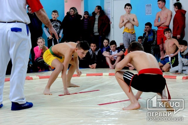 У Кривому Розі відбувся чемпіонат області з сумо