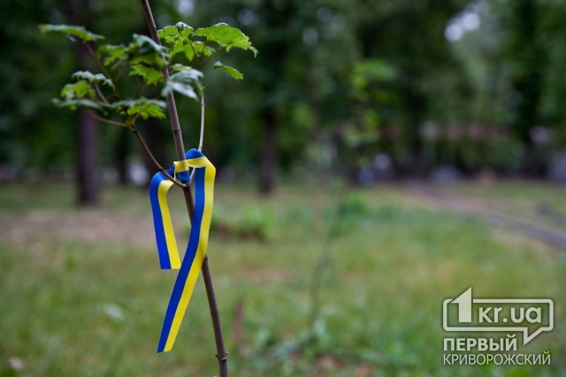 Сьогодні в Україні відзначають День рідної мови