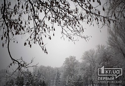 Фото к новости Главное фото новости
