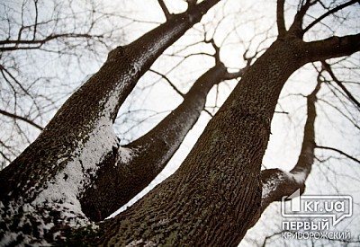 Фото к новости Главное фото новости