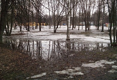 Фото к новости Главное фото новости