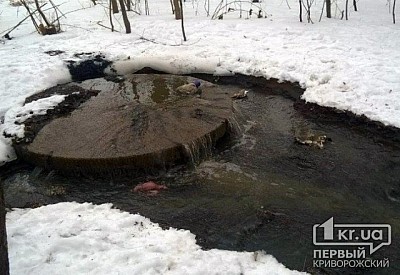 Главное фото новости