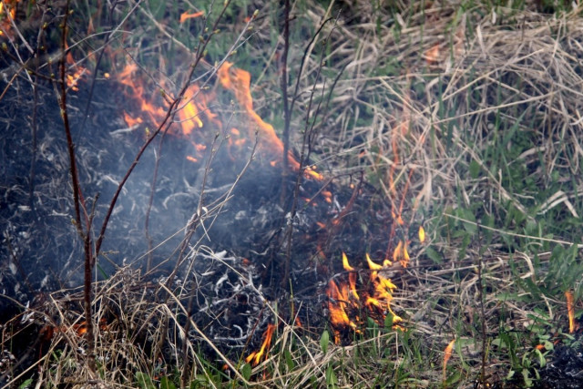 В Кривом Роге сгорела тонна осеннего урожая