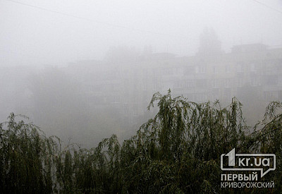 Фото к новости Главное фото новости