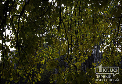Фото к новости Главное фото новости