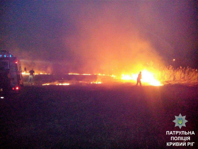 В Кривом Роге возле Тысячки горела сухая трава