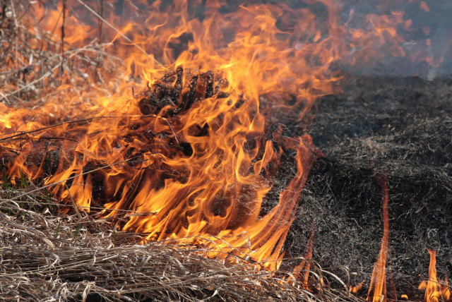 На Макулане в Кривом Роге горят 40 гектар сухостоя