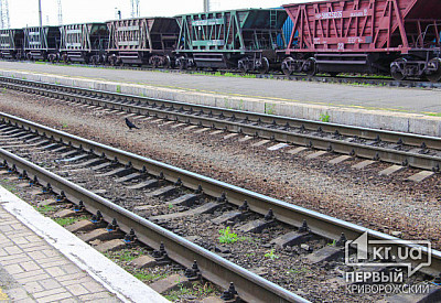 Фото к новости Главное фото новости