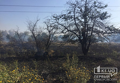 Фото к новости Главное фото новости