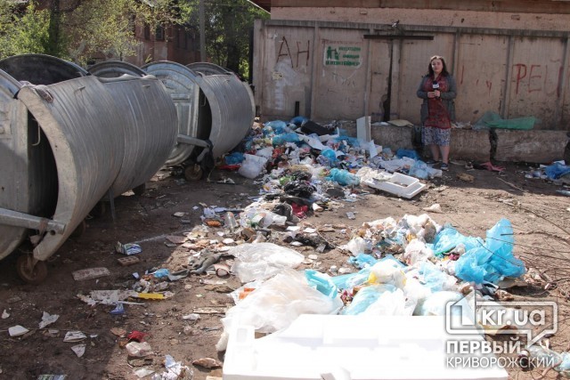Жители Кривого Рога готовы сортировать мусор - нужно строить завод