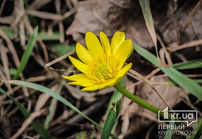 Фото к новости Главное фото новости