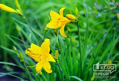 Фото к новости Главное фото новости