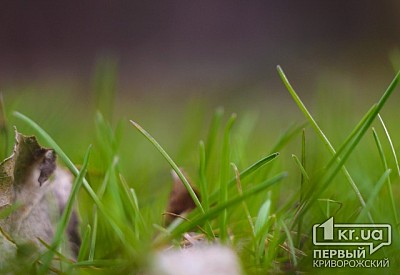 Фото к новости Главное фото новости