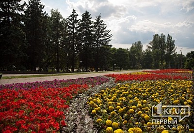 Фото к новости Главное фото новости