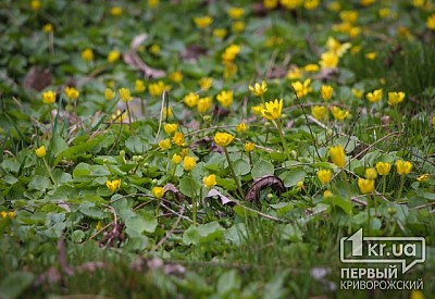 Фото к новости Главное фото новости