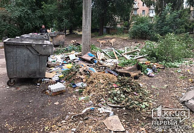Фото к новости Главное фото новости