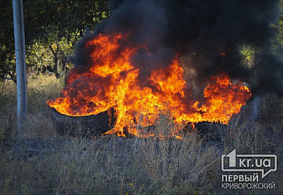 Фото к новости Главное фото новости