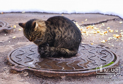 Фото к новости Главное фото новости