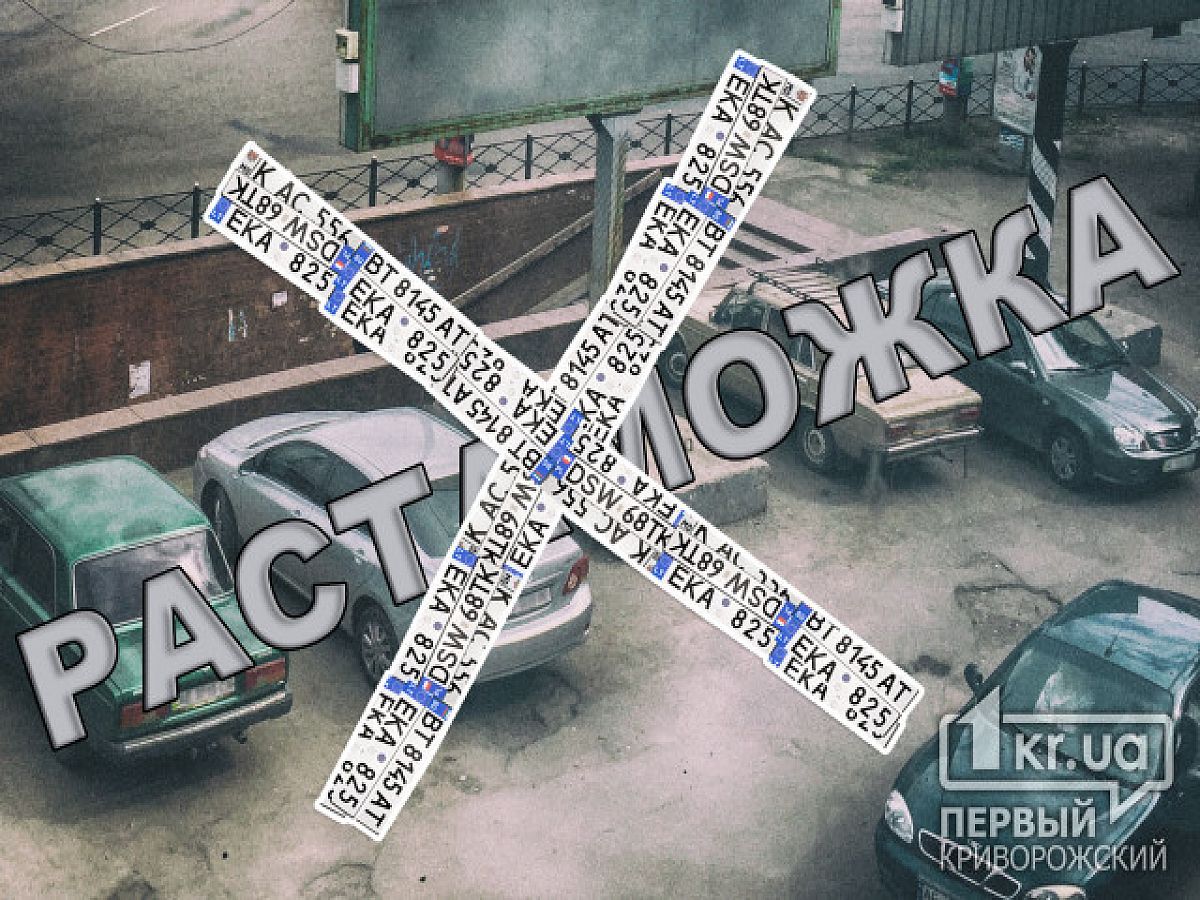 В Украине отменят бесплатную растаможку авто – когда и для кого
