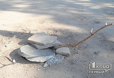 Фото к новости Главное фото новости