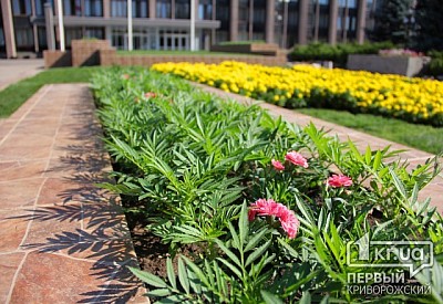 Фото к новости Главное фото новости