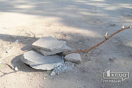 В Кривом Роге колодец несколько лет был без люка из-за «металлистов»