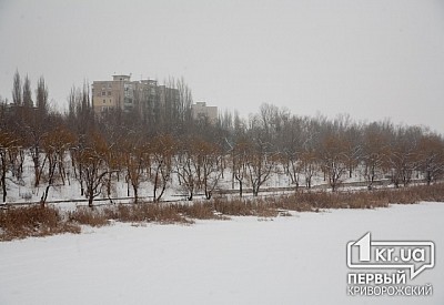 Главное фото новости