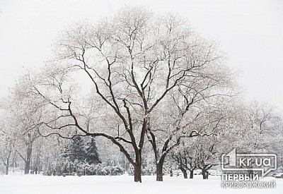 Фото к новости Главное фото новости
