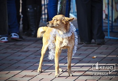 Фото к новости Главное фото новости