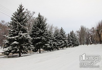Фото к новости Главное фото новости