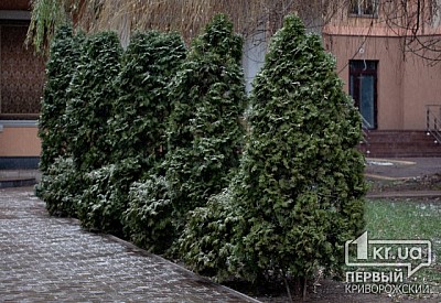 Фото к новости Главное фото новости