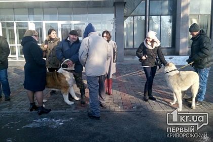 Кривий Ріг проти жорстокого поводження з тваринами. Зоозахисники провели акцію під міськвиконкомом