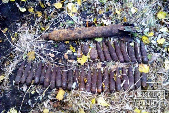 Авиабомбу, снаряды и гранаты нашли в селе под Кривым Рогом