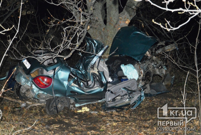 Трое подростков и водитель погибли в жутком ДТП на Криворожской трассе