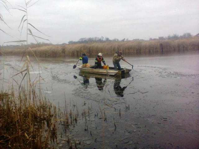 В Днепропетровской области спасатели спасали лебедей