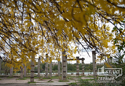 Фото к новости Главное фото новости