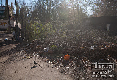 Фото к новости Главное фото новости