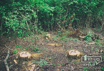 Фото к новости Главное фото новости
