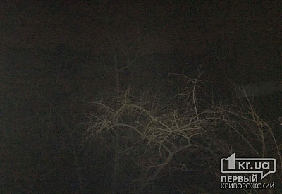 Фото к новости Главное фото новости